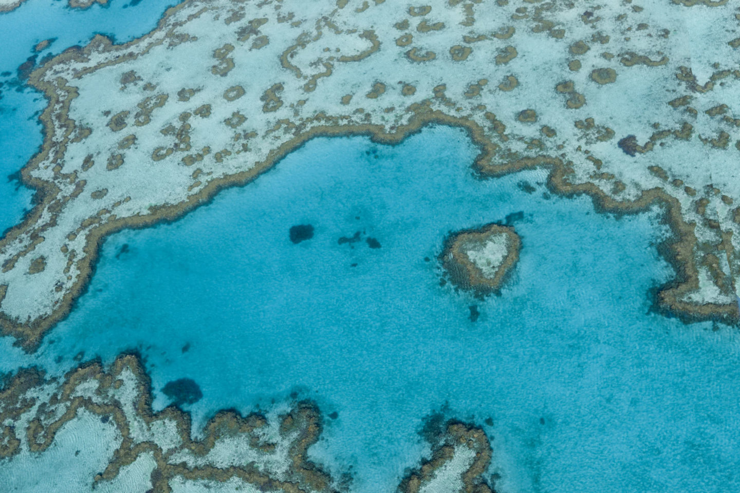 Flying and landing on the Great Barrier Reef and Whitsunday Islands - Hear Reef from above