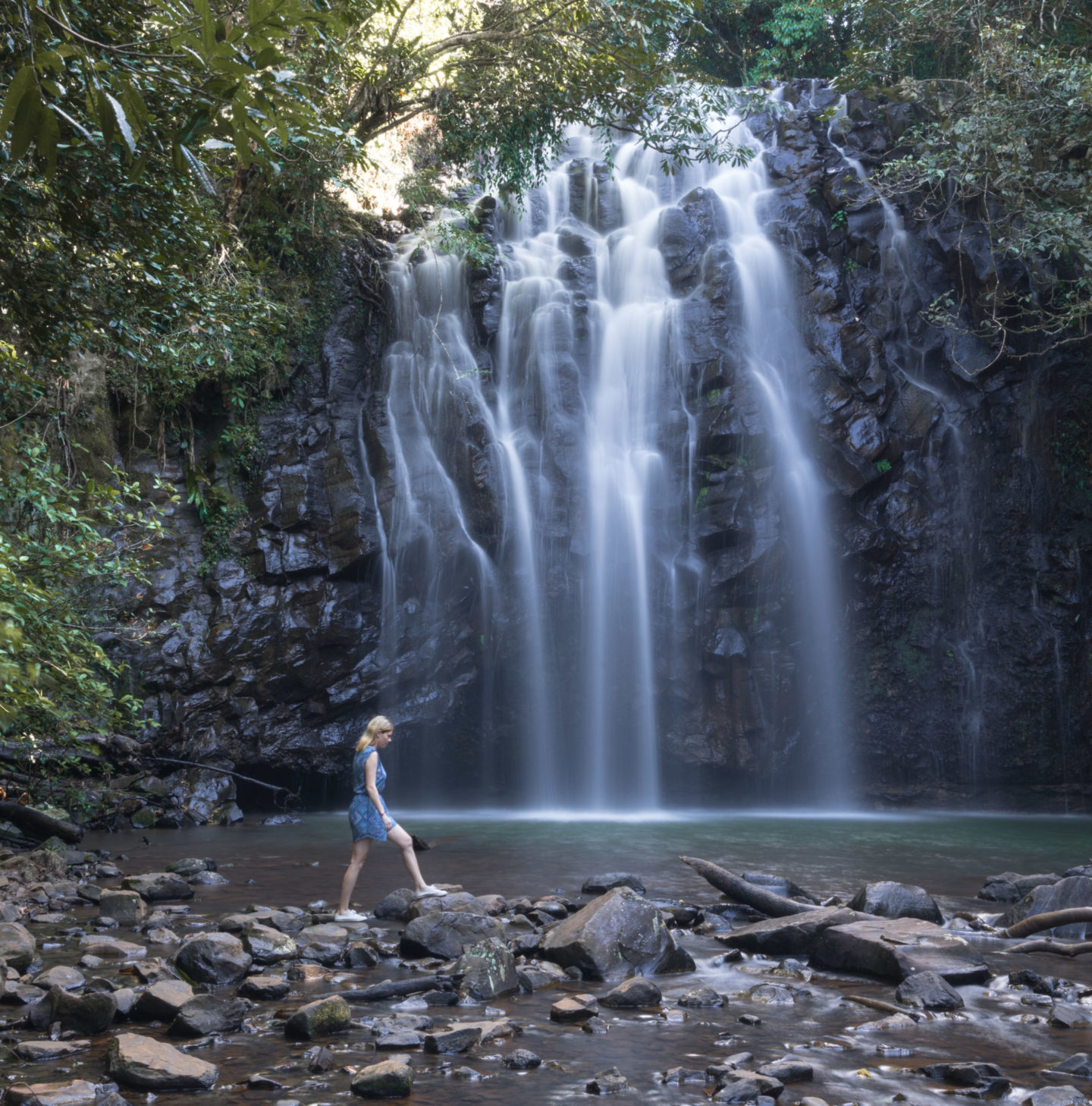 north queensland tourism